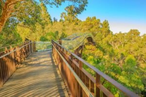 Kings Park and Botanic Garden