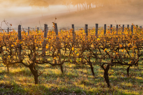 Margaret River