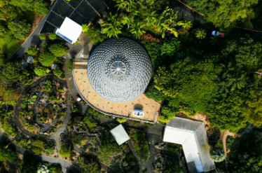 Mount Coot-Tha Botanic Gardens