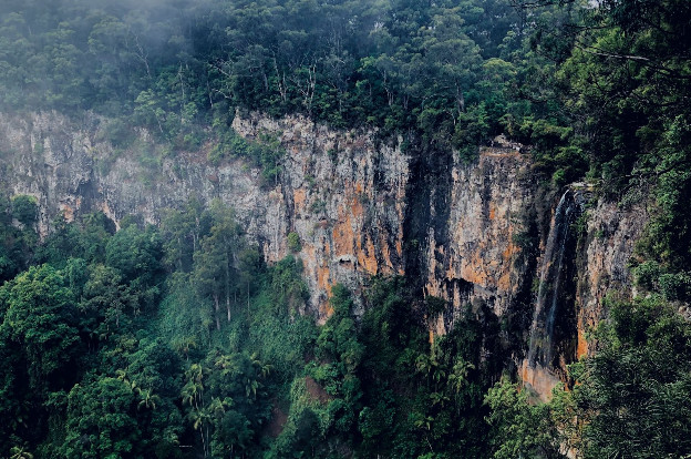 Springbrook National Park