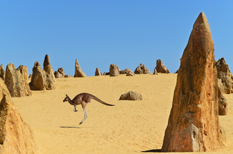 The Pinnacles Desert