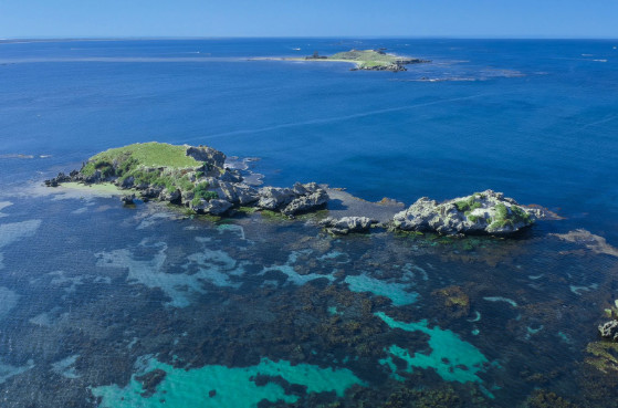 Shoalwater Islands Marine Park