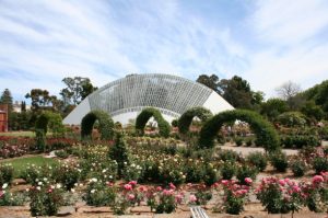 Adelaide Botanical Gardens