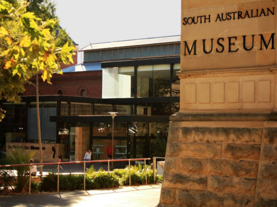 South Australian Museum