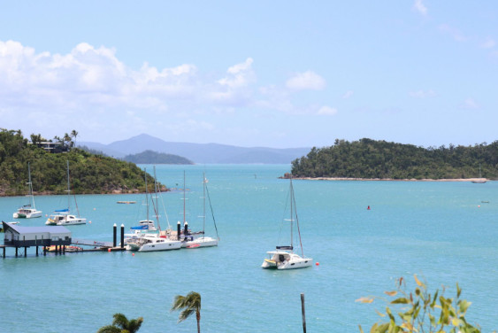 Shute Harbour