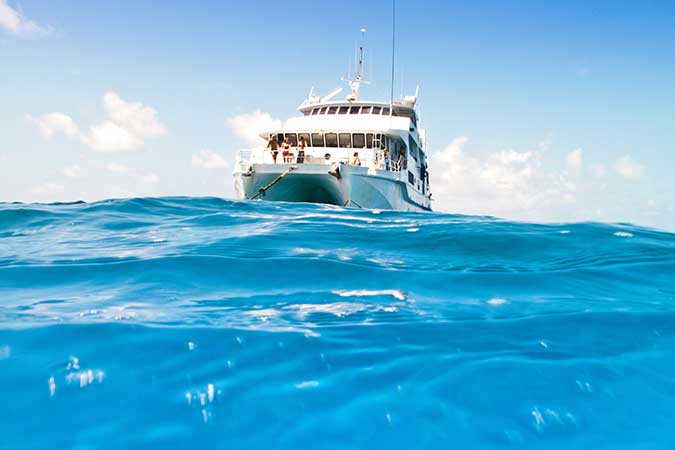 Cruise North Queensland Reef