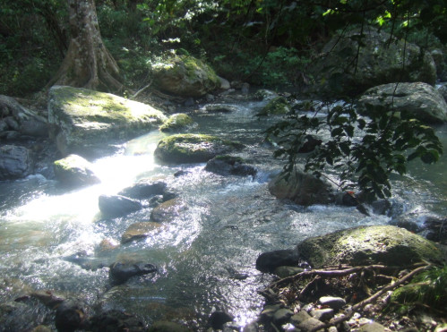 Gold Coast Hinterland