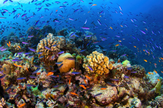 Great Barrier Reef